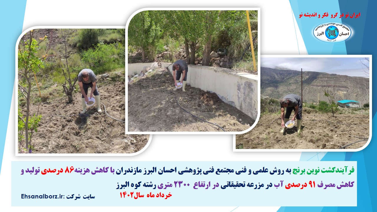 فرآیندکشت نوین برنج به روش علمی و فنی مجتمع فنی پژوهشی احسان البرز مازندران